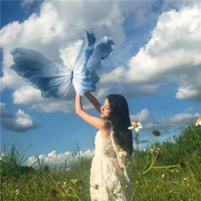 绿衣骑士